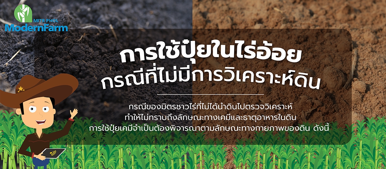 การใช้ปุ๋ยในไร่กรณีที่ไม่มีการวิเคราะห์ดิน