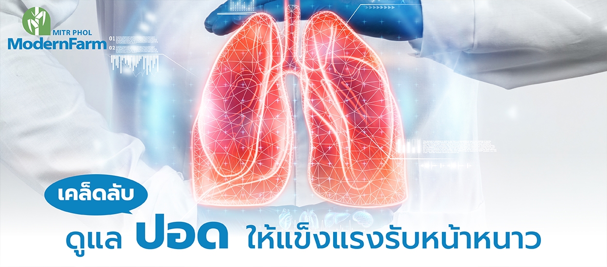 เคล็ดลับดูแลปอดให้แข็งแรงรับหน้าหนาว    