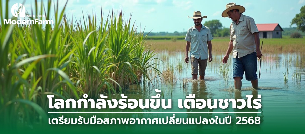 โลกกำลังร้อนขึ้น เตือนชาวไร่เตรียมรับมือสภาพอากาศเปลี่ยนแปลงในปี 2568
