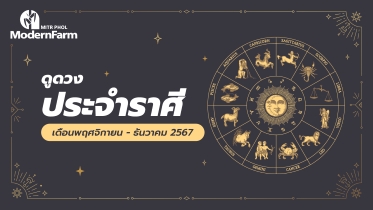 ดวงระหว่างวันที่ 1 พฤศจิกายน - 31 ธันวาคม 2567