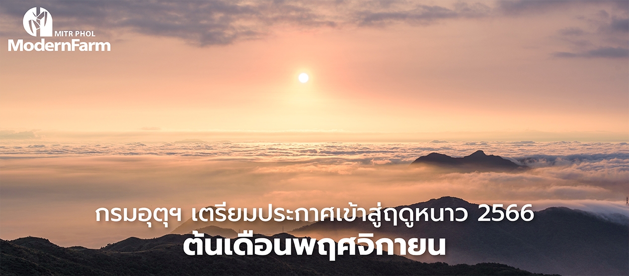 กรมอุตุฯ เตรียมประกาศเข้าสู่ฤดูหนาว 2566 ต้นเดือนพฤศจิกายน