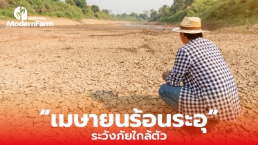 เมษายนร้อนระอุ ระวังภัยใกล้ตัว
