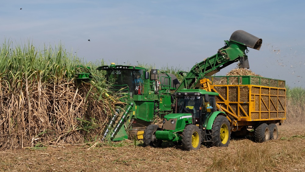 MP Cane Harvester 3.jpg