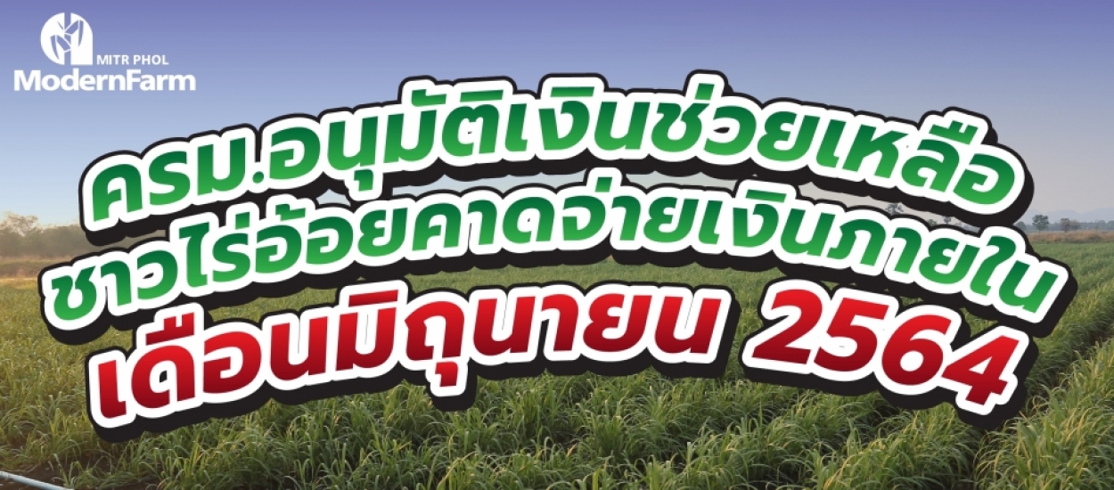 ข่าวดี!!! ครม.อนุมัติเงินช่วยเหลือชาวไร่อ้อยตัดอ้อยสด คาดจ่ายเงินภายในเดือนมิถุนายน 2564