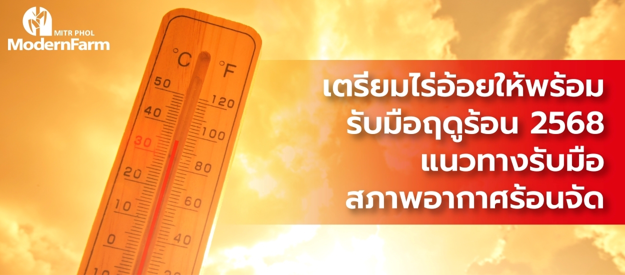 เตรียมไร่อ้อยให้พร้อมรับมือฤดูร้อน 2568 : แนวทางรับมือสภาพอากาศร้อนจัด