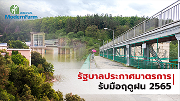 รัฐบาลประกาศมาตรการรับมือฤดูฝน 2565