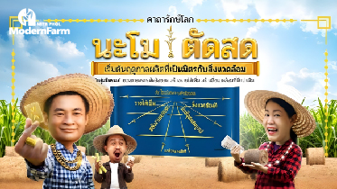 นะโม ตัดสด คาถารักษ์โลกจากมิตรผล กระตุ้นเกษตรกรตัดอ้อยสดสะอาด เพิ่มรายได้ สร้างสิ่งแวดล้อมที่ดี