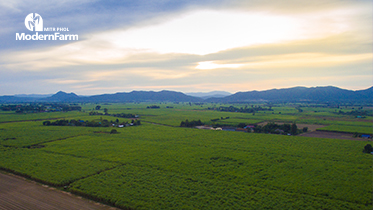 หลักการทำ Farm Layout