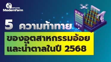 5 ความท้าทายของอุตสาหกรรมอ้อยและน้ำตาลในปี 2568