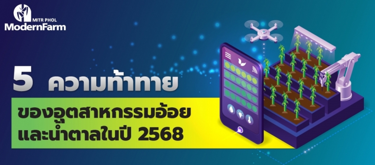 5 ความท้าทายของอุตสาหกรรมอ้อยและน้ำตาลในปี 2568
