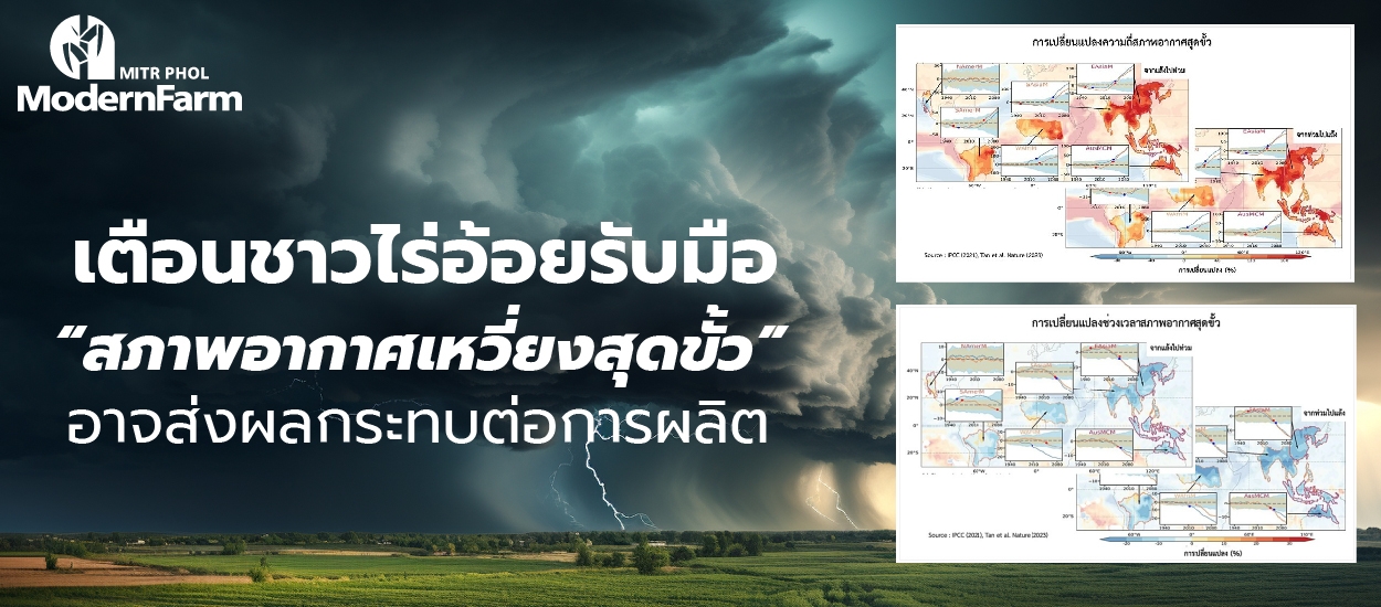เตือนชาวไร่อ้อยรับมือ “สภาพอากาศเหวี่ยงสุดขั้ว” อาจส่งผลกระทบต่อการผลิต
