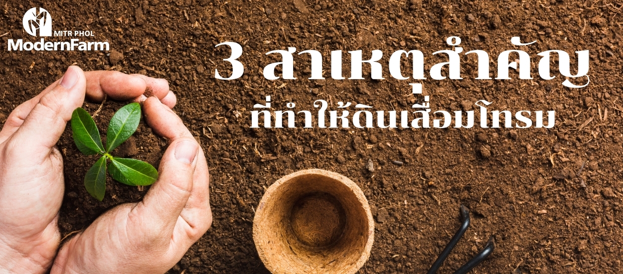 3 สาเหตุสำคัญที่ทำให้ดินเสื่อมโทรม