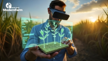 5 ประโยชน์ของ IoT ในไร่อ้อย เทคโนโลยีที่ช่วยเพิ่มประสิทธิภาพการผลิต