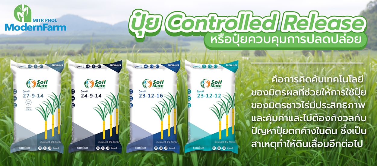 ปุ๋ย Controlled Release หรือปุ๋ยควบคุมการปลดปล่อย ดีกว่าอย่างไร
