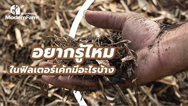 อยากรู้ไหม ในฟิลเตอร์เค้กมีอะไรบ้าง