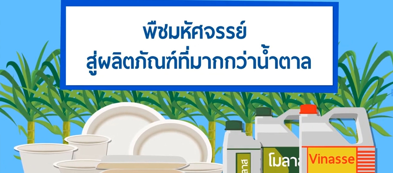 พืชมหัศจรรย์ สู่ผลิตภัณฑ์ที่มากกว่าน้ำตาล