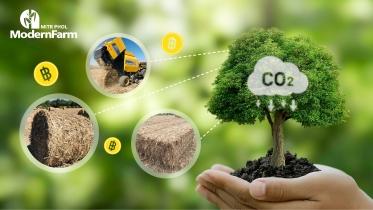Climate Change Climate Chance เปลี่ยนวิกฤตโลกร้อน ให้เป็นโอกาสของมนุษย์และโลก