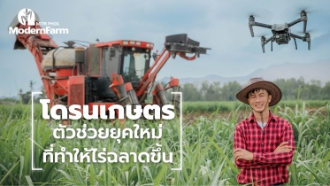 โดรนเกษตร ตัวช่วยยุคใหม่ ที่ทำให้ไร่ฉลาดขึ้น
