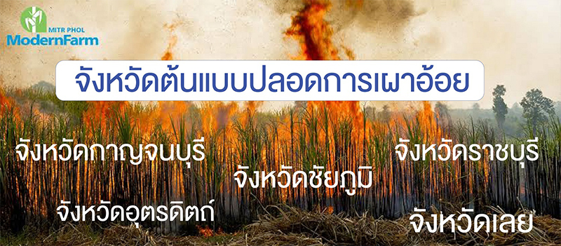 เริ่มหีบหน้า-003.jpg