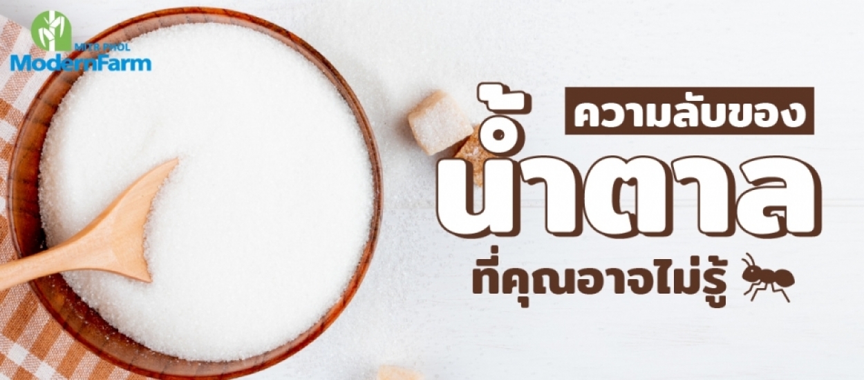 ความลับของน้ำตาลที่คุณอาจไม่รู้