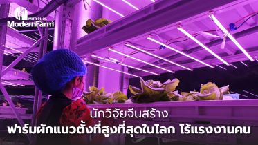 นักวิจัยจีนสร้าง ฟาร์มผักแนวตั้งที่สูงที่สุดในโลก ไร้แรงงานคน