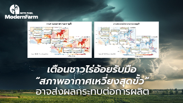 เตือนชาวไร่อ้อยรับมือ “สภาพอากาศเหวี่ยงสุดขั้ว” อาจส่งผลกระทบต่อการผลิต