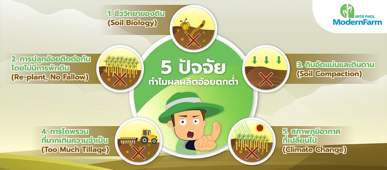 5 ปัจจัยทำไมผลผลิตอ้อยตกต่ำ