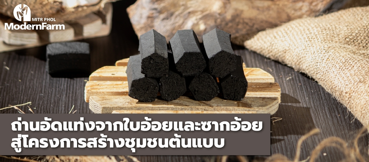 ถ่านอัดแท่งจากใบอ้อยและซากอ้อย สู่โครงการสร้างชุมชนต้นแบบ