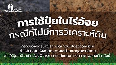 การใช้ปุ๋ยในไร่กรณีที่ไม่มีการวิเคราะห์ดิน