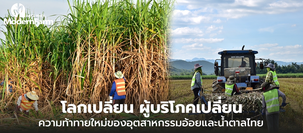 โลกเปลี่ยน ผู้บริโภคเปลี่ยน ความท้าทายใหม่ของอุตสาหกรรมอ้อยและน้ำตาลไทย