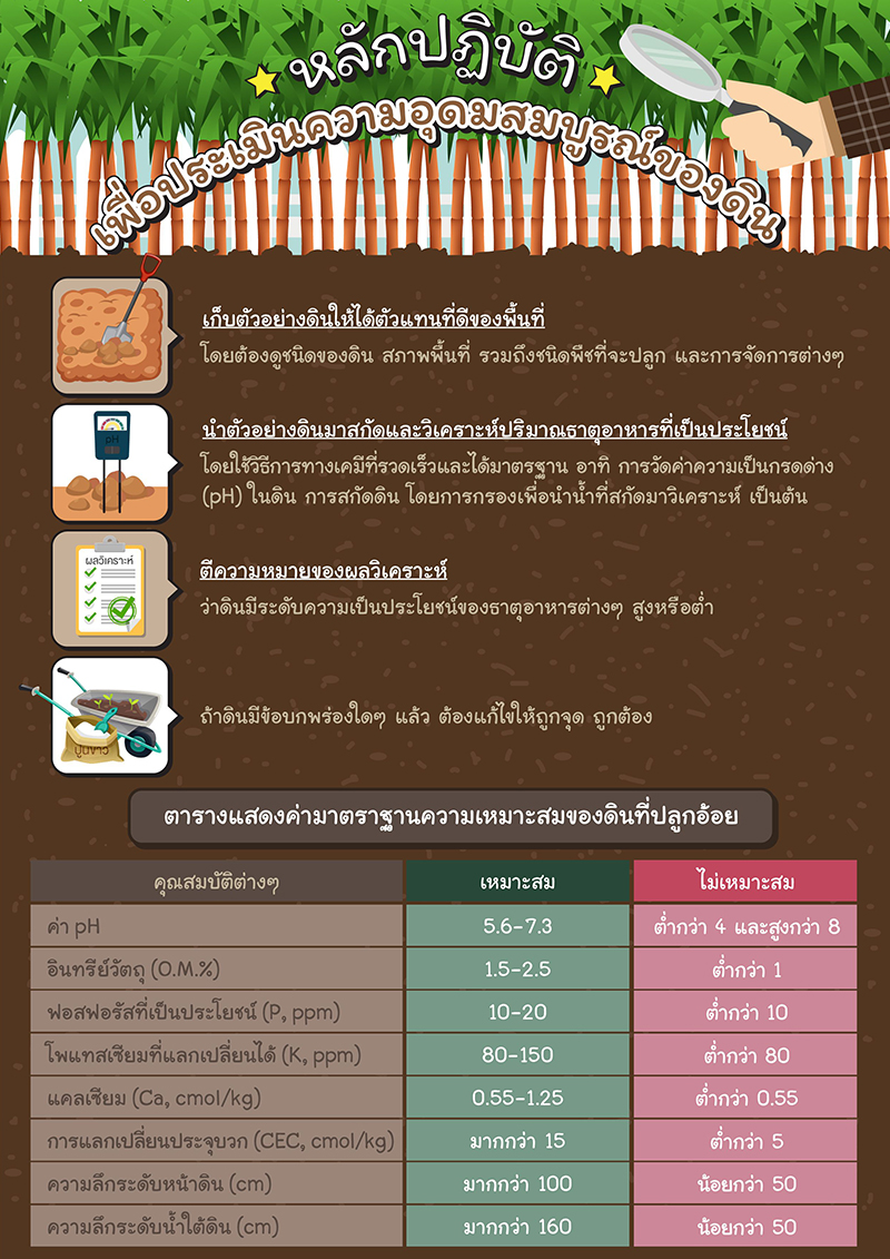 หลักปฎิบัติ-003.jpg