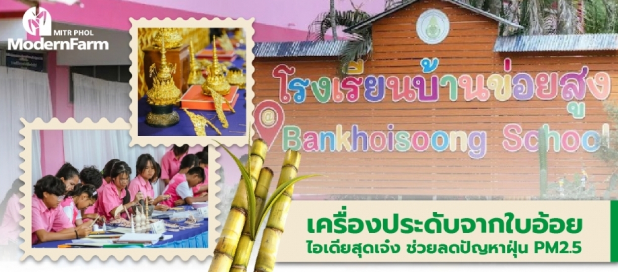เครื่องประดับจากใบอ้อย ไอเดียสุดเจ๋ง ช่วยลดปัญหาฝุ่น PM2.5