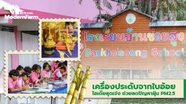 เครื่องประดับจากใบอ้อย ไอเดียสุดเจ๋ง ช่วยลดปัญหาฝุ่น PM2.5