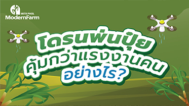 โดรนพ่นปุ๋ย คุ้มกว่าแรงงานคนอย่างไร