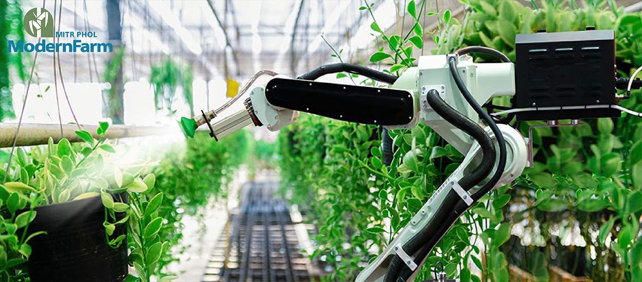 Netflix for agriculture หลักคิดทันสมัยสำหรับเกษตรสมัยใหม่