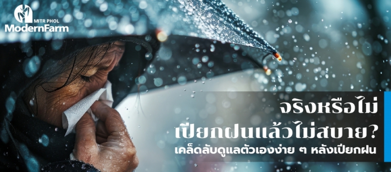 จริงหรือไม่ เปียกฝนแล้วไม่สบาย? เคล็ดลับดูแลตัวเองง่าย ๆ หลังเปียกฝน